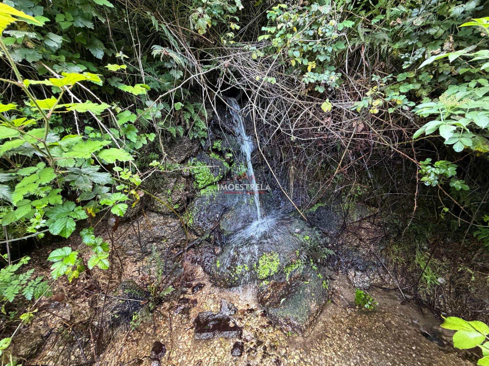 Quinta T1 Venda em Aldeias e Mangualde da Serra,Gouveia