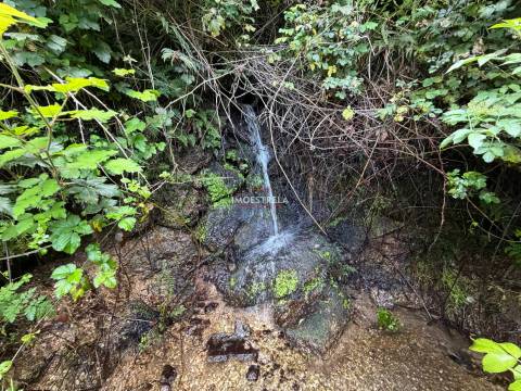Quinta T1 Venda em Aldeias e Mangualde da Serra,Gouveia