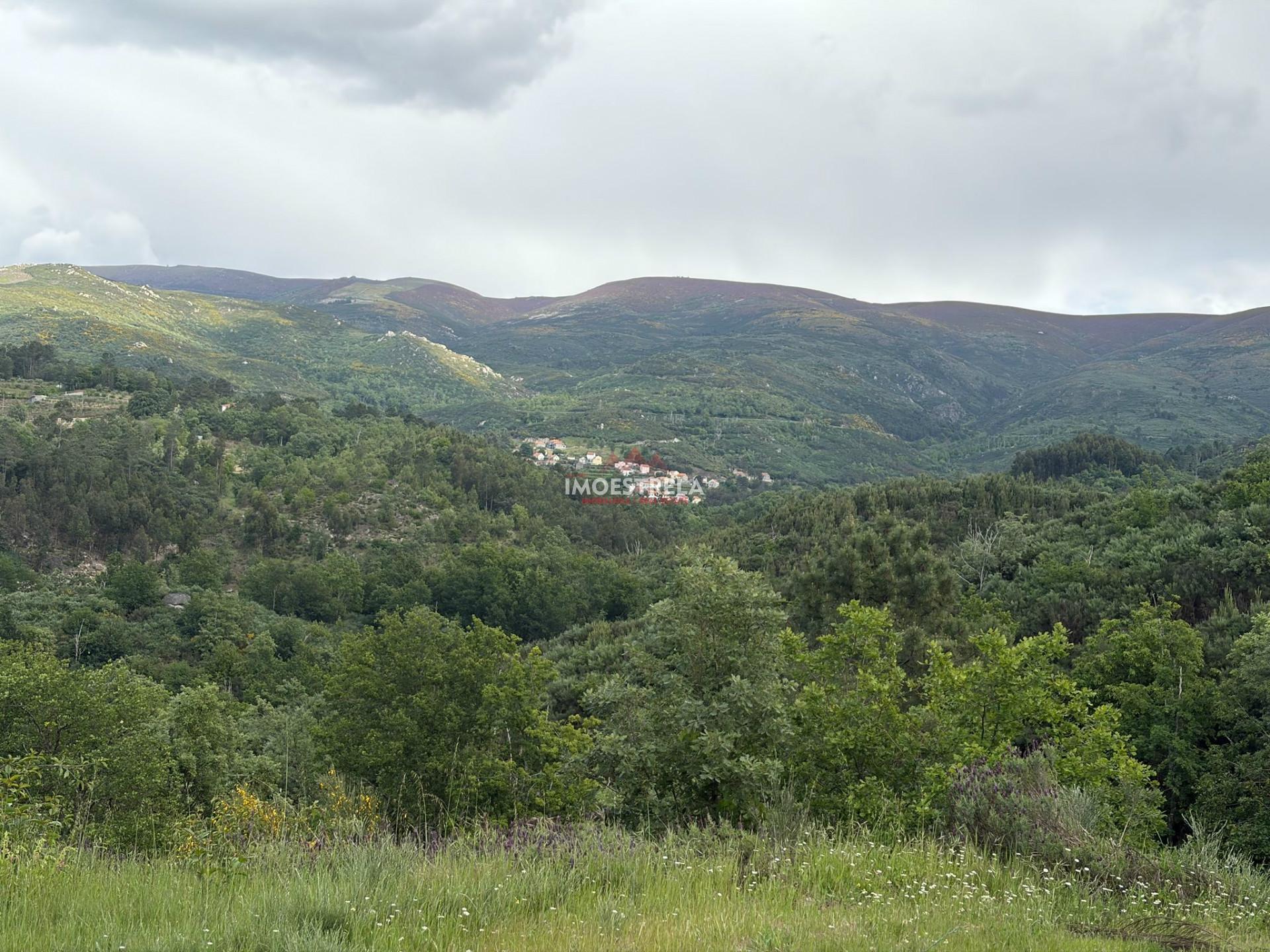 Quinta T1 Venda em Aldeias e Mangualde da Serra,Gouveia