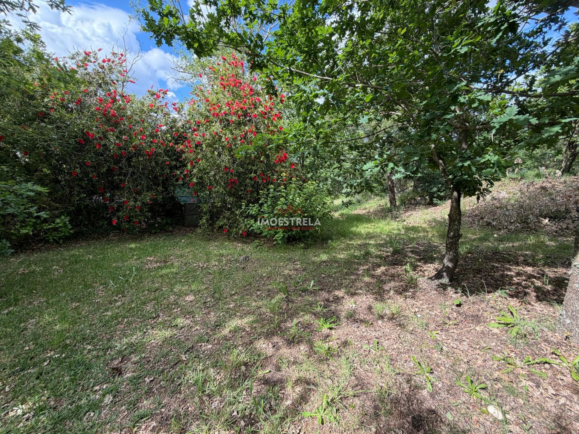 Quinta T1 Venda em Aldeias e Mangualde da Serra,Gouveia