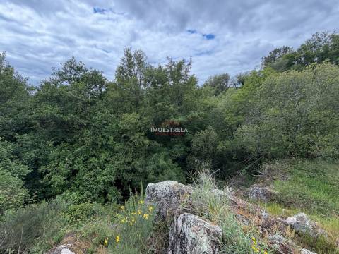 Quinta T1 Venda em Aldeias e Mangualde da Serra,Gouveia