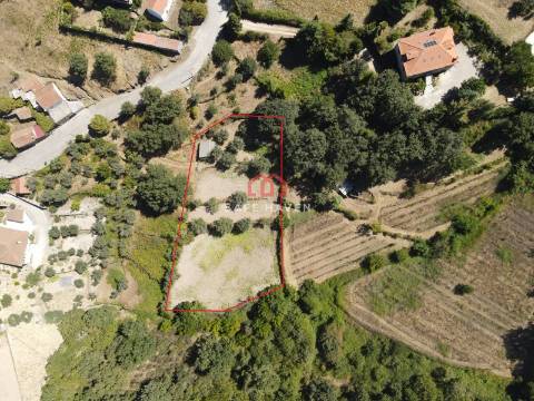 Terreno  Venda em Tavares (Chãs, Várzea e Travanca),Mangualde