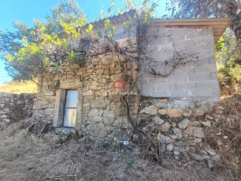Terreno  Venda em Tavares (Chãs, Várzea e Travanca),Mangualde