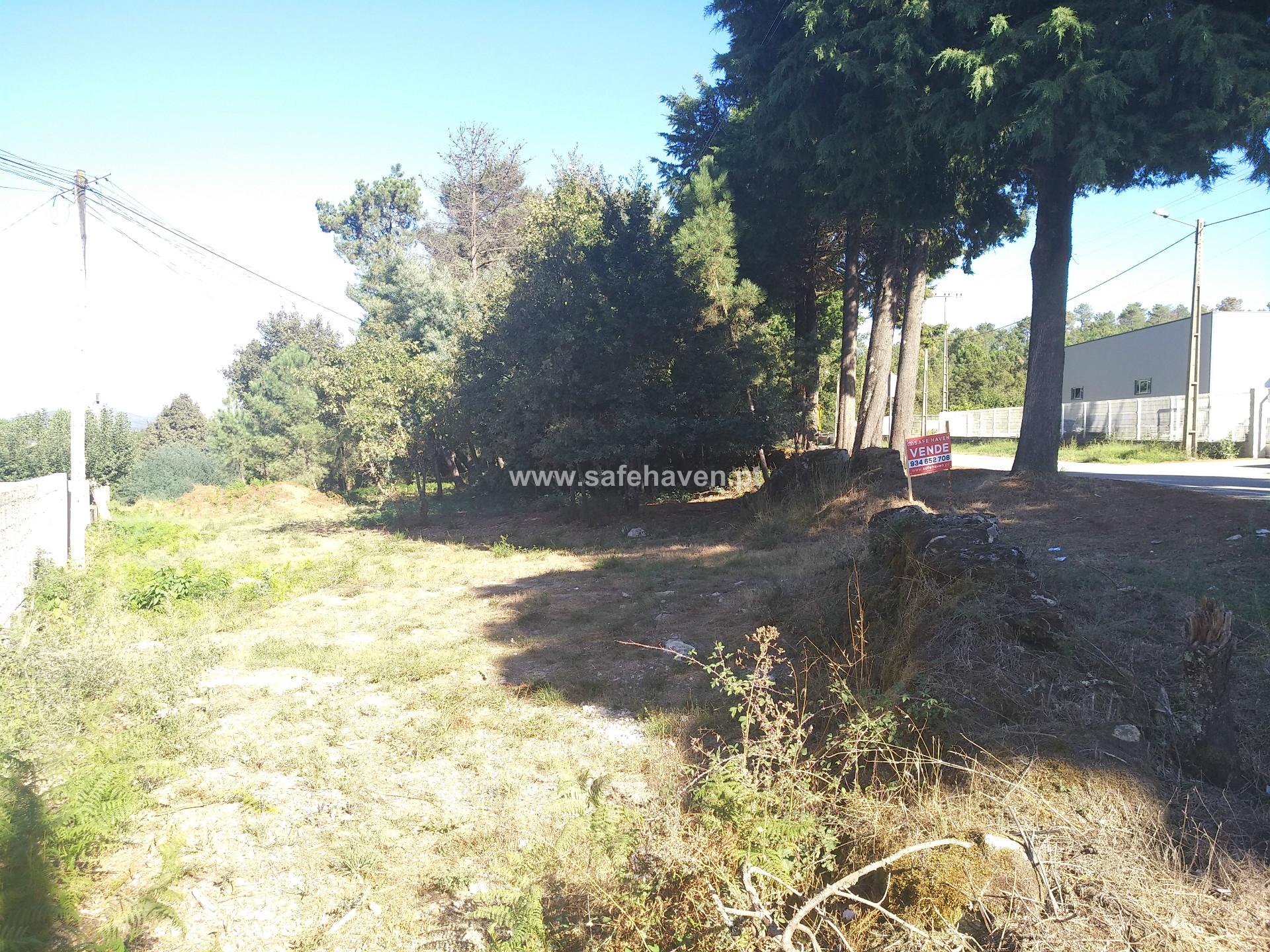 Lote de Terreno  Venda em Quintela de Azurara,Mangualde