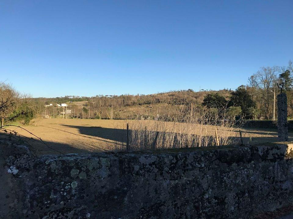 Terreno Para Construção  Venda em Senhorim,Nelas