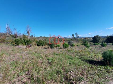 Quintinha  Venda em Cunha Baixa,Mangualde