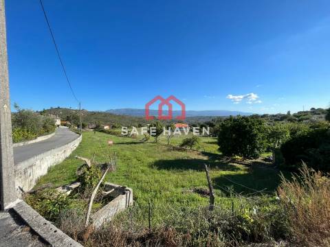 Terreno Rústico  Venda em Abrunhosa-a-Velha,Mangualde