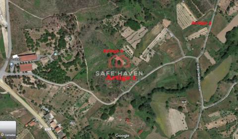 Terreno Rústico  Venda em Santiago de Cassurrães e Póvoa de Cervães,Mangualde