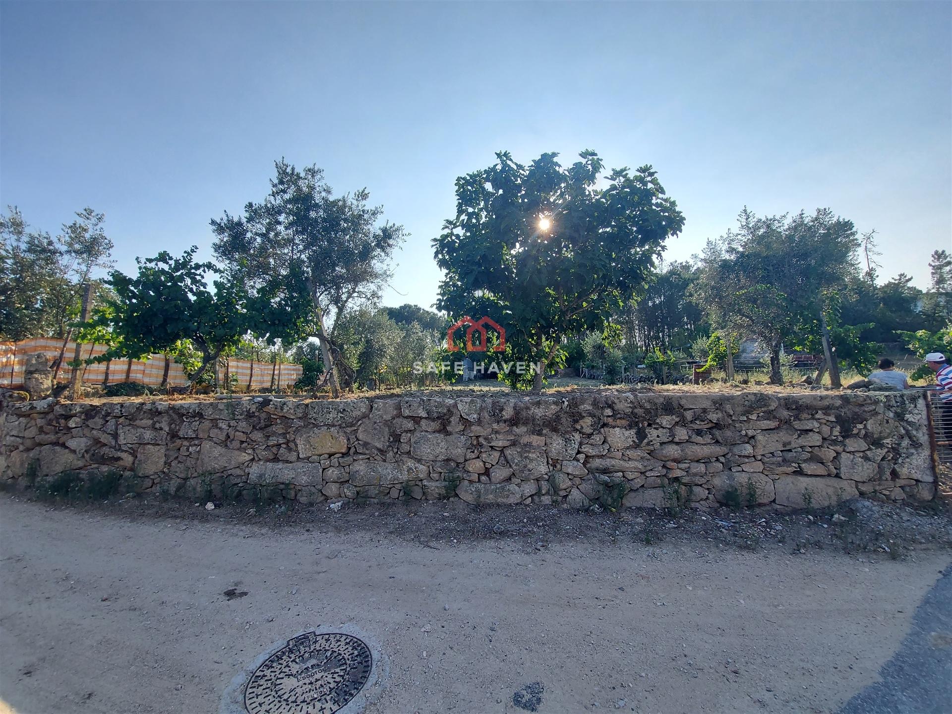 Terreno Rústico  Venda em Santiago de Cassurrães e Póvoa de Cervães,Mangualde