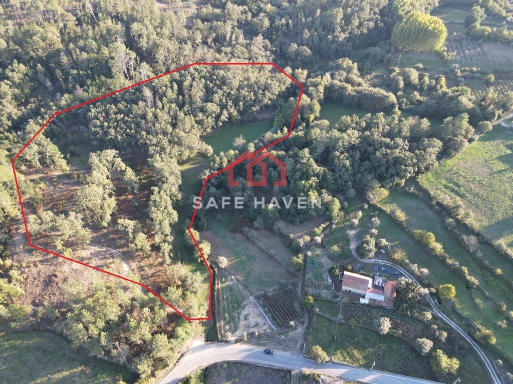 Terreno Rústico  Venda em Castelo de Penalva,Penalva do Castelo