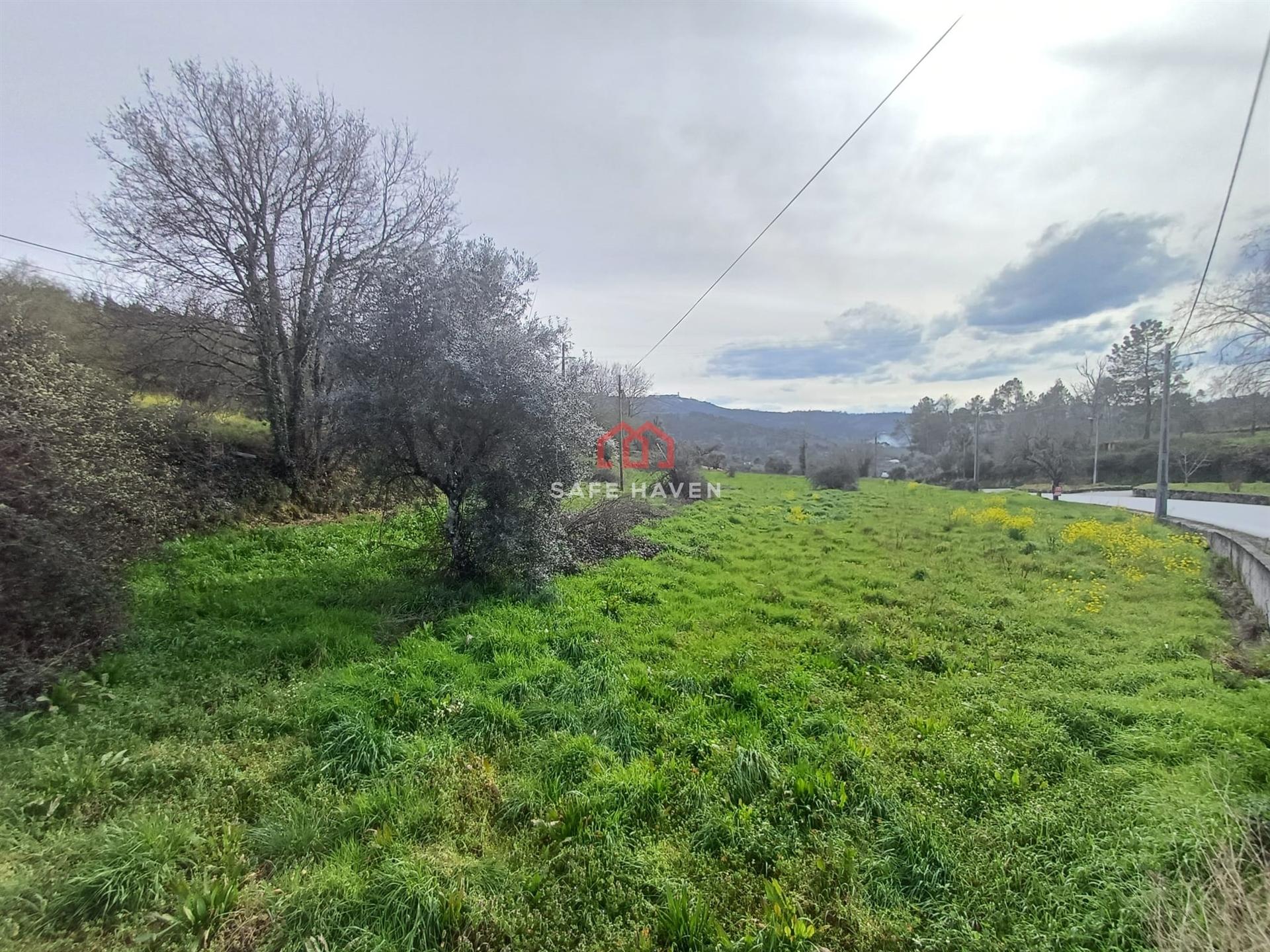 Terreno Para Construção  Venda em Germil,Penalva do Castelo