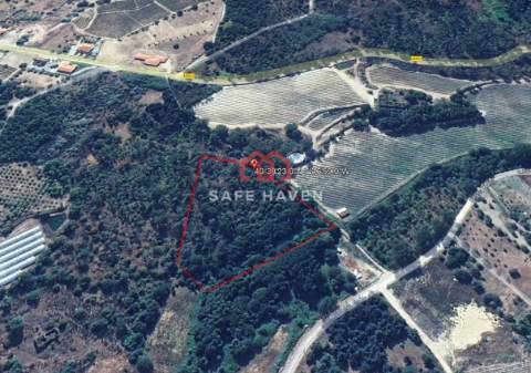 Terreno Rústico  Venda em Pindo,Penalva do Castelo
