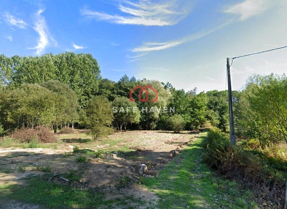 Terreno Rústico  Venda em Pindo,Penalva do Castelo
