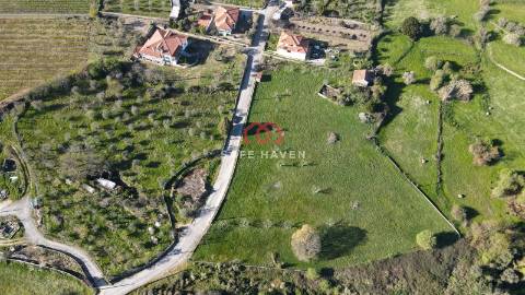 Terreno Para Construção  Venda em Quintela de Azurara,Mangualde