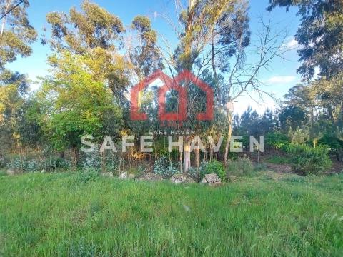Terreno para construção, a apenas 2 minuto do centro de Mangualde.