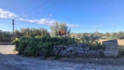 Terreno Para Construção  Venda em Cativelos,Gouveia