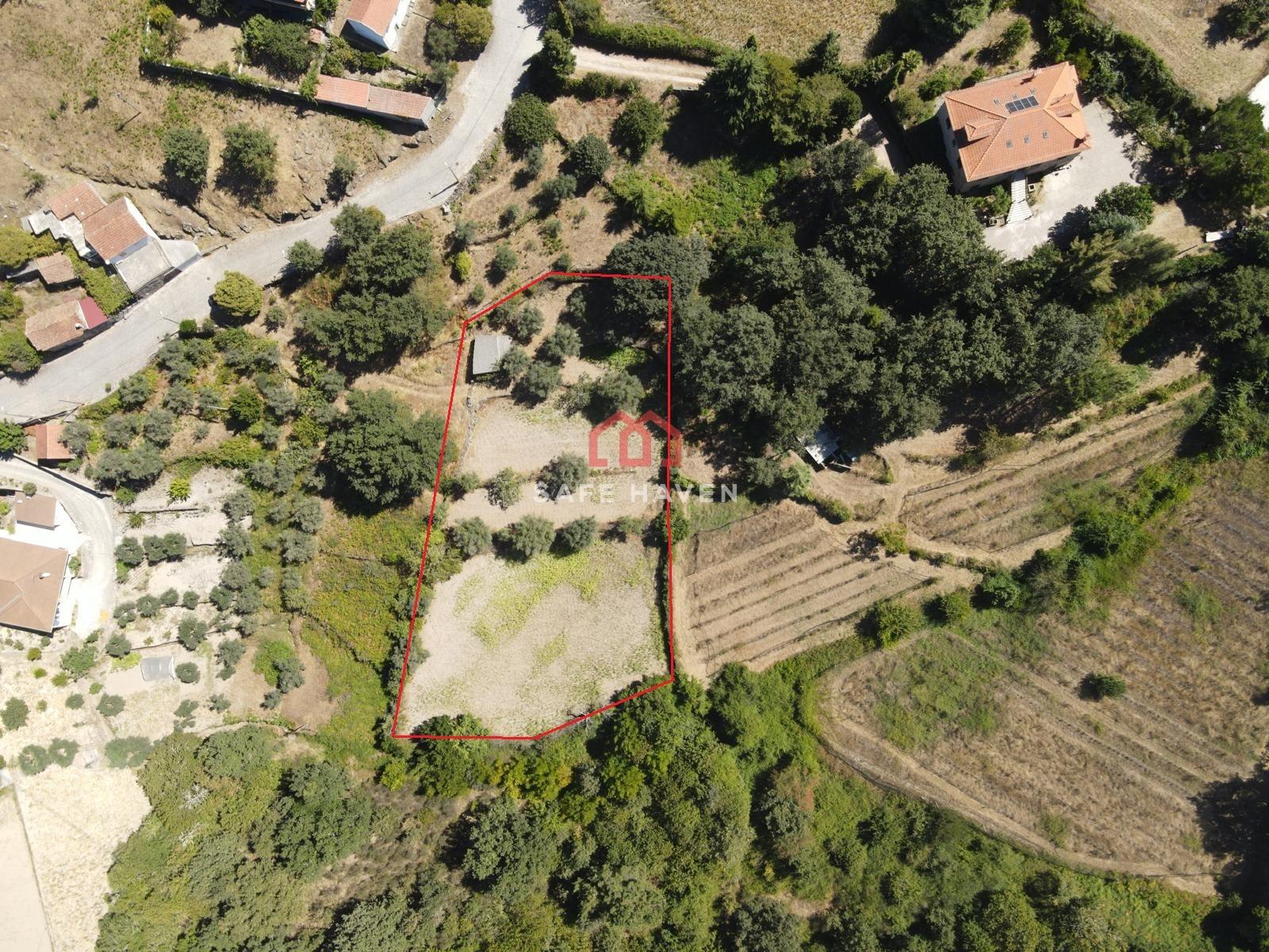 Terreno  Venda em Tavares (Chãs, Várzea e Travanca),Mangualde