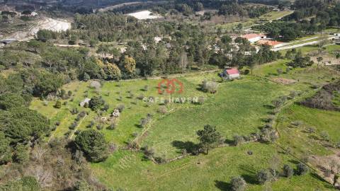 Quinta  Venda em Santiago de Cassurrães e Póvoa de Cervães,Mangualde