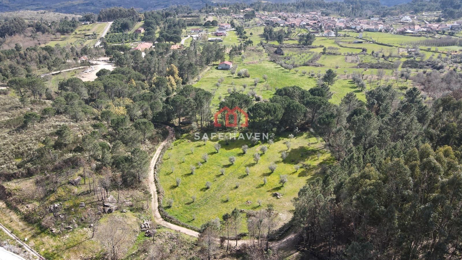 Quinta  Venda em Santiago de Cassurrães e Póvoa de Cervães,Mangualde