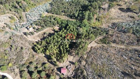 Quintinha T2 Venda em Tavares (Chãs, Várzea e Travanca),Mangualde
