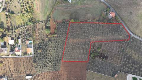 Terreno de 13.120 m² em Santa Comba, Seia