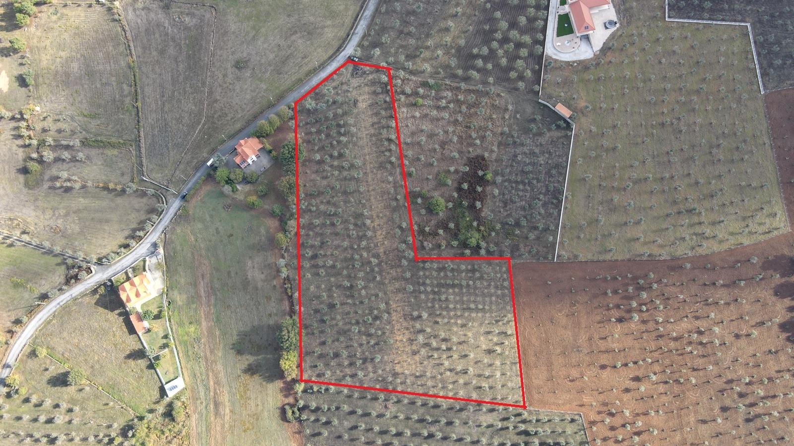 Terreno de 13.120 m² em Santa Comba, Seia