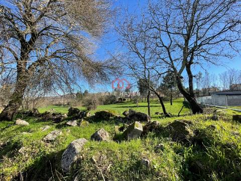 Terreno Para Construção  Venda em Quintela de Azurara,Mangualde