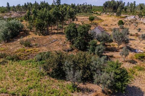 Moradia Isolada T4 Venda em Moimenta de Maceira Dão e Lobelhe do Mato,Mangualde