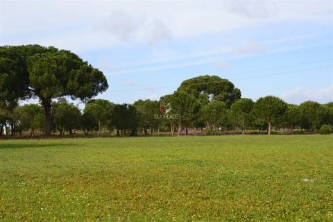 Terreno rústico com 10 HA apto a receber equipamentos de exploração de energia solar fotovoltaica