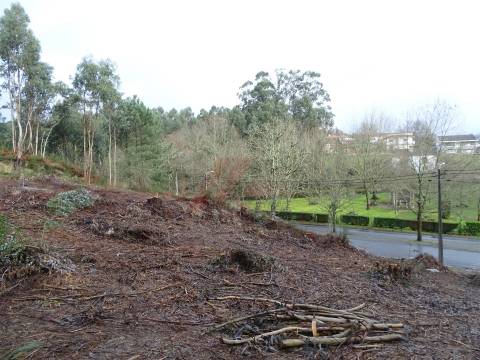 Lote de Terreno  Venda em Estorãos,Fafe