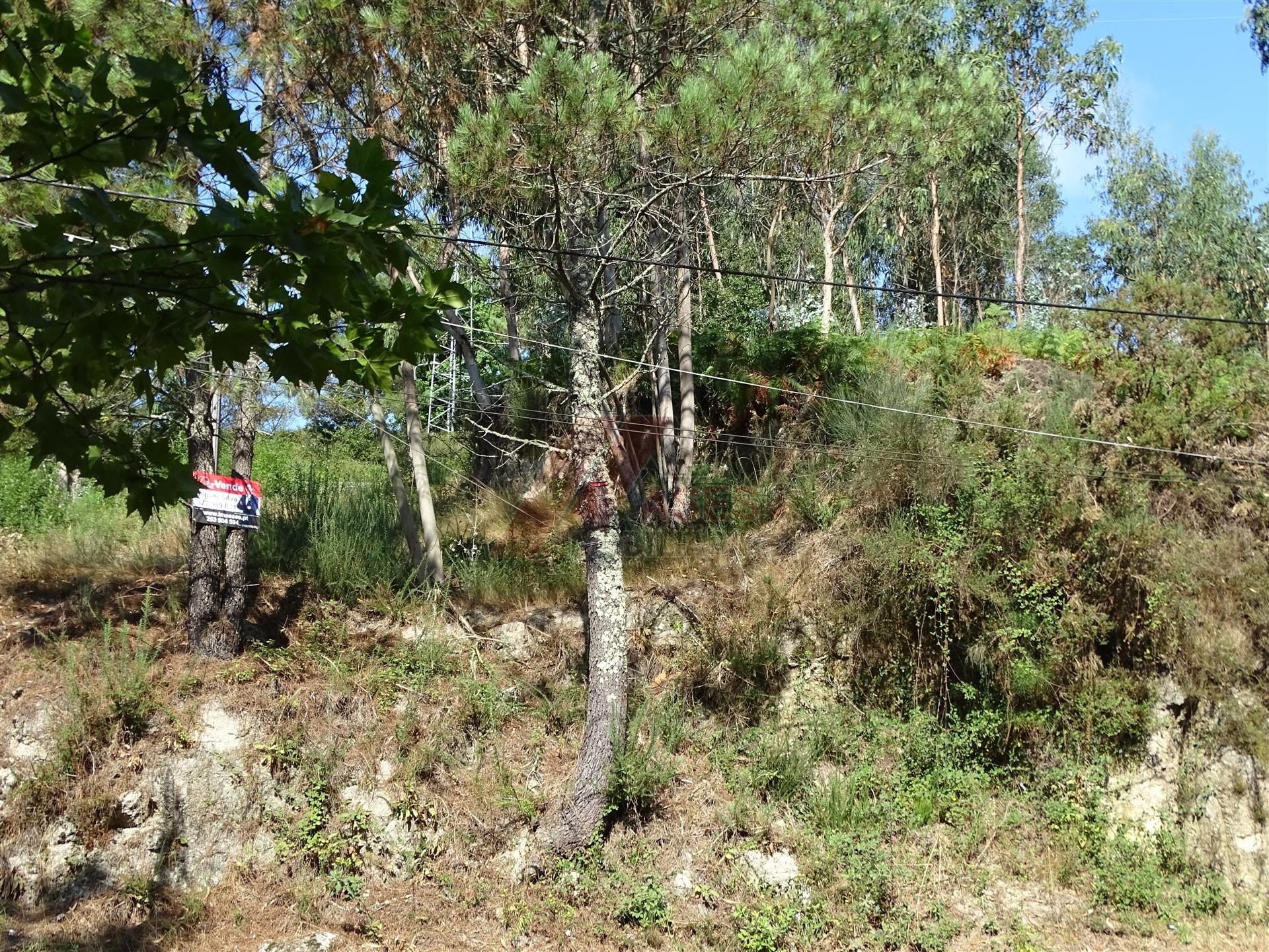Lote de Terreno  Venda em Estorãos,Fafe