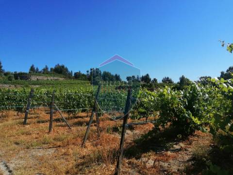 Quinta  Venda em Silgueiros,Viseu