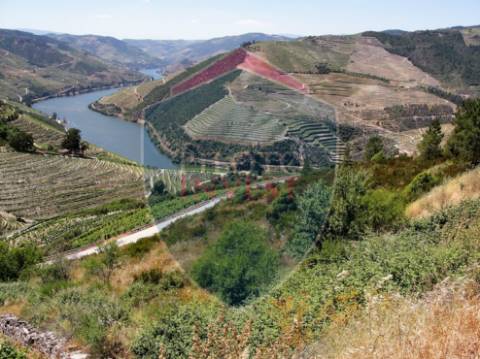 Quintinha  Venda em Valença do Douro,Tabuaço
