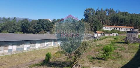 Quinta  Venda em São João da Serra,Oliveira de Frades