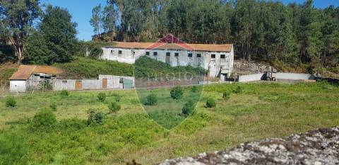 Quinta  Venda em São João da Serra,Oliveira de Frades