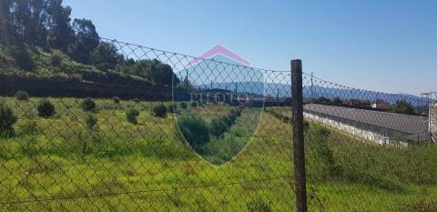 Quinta  Venda em São João da Serra,Oliveira de Frades