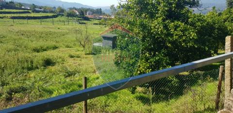 Quinta  Venda em São João da Serra,Oliveira de Frades