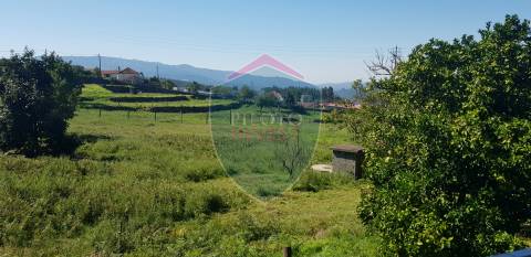 Quinta  Venda em São João da Serra,Oliveira de Frades