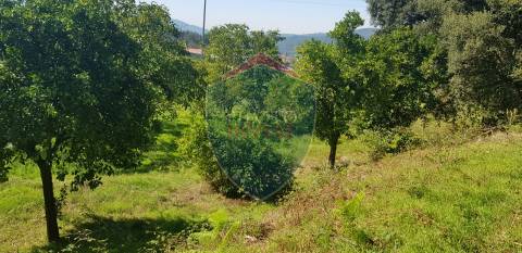 Quinta  Venda em São João da Serra,Oliveira de Frades