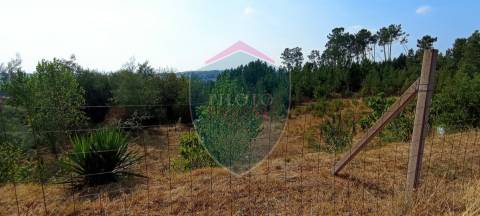 Loteamento  Venda em Abraveses,Viseu