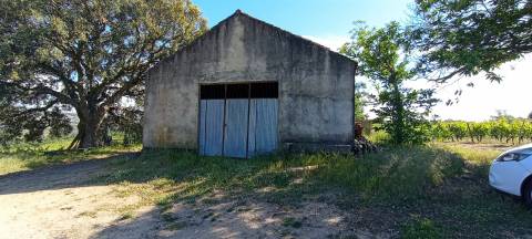 Quinta  Venda em Sezures,Penalva do Castelo