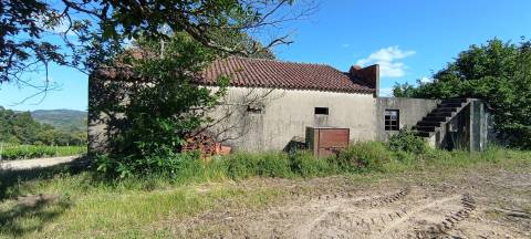 Quinta  Venda em Sezures,Penalva do Castelo