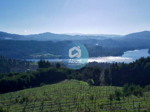 Quinta  Venda em Abragão,Penafiel