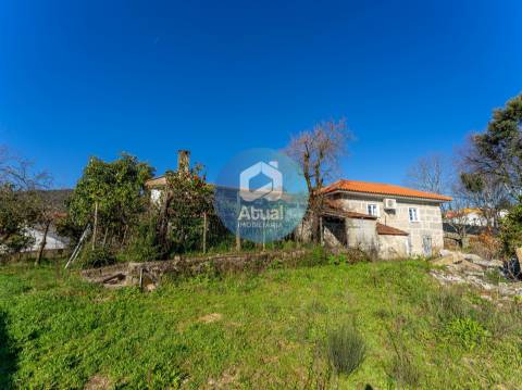 Quinta  Venda em Abragão,Penafiel
