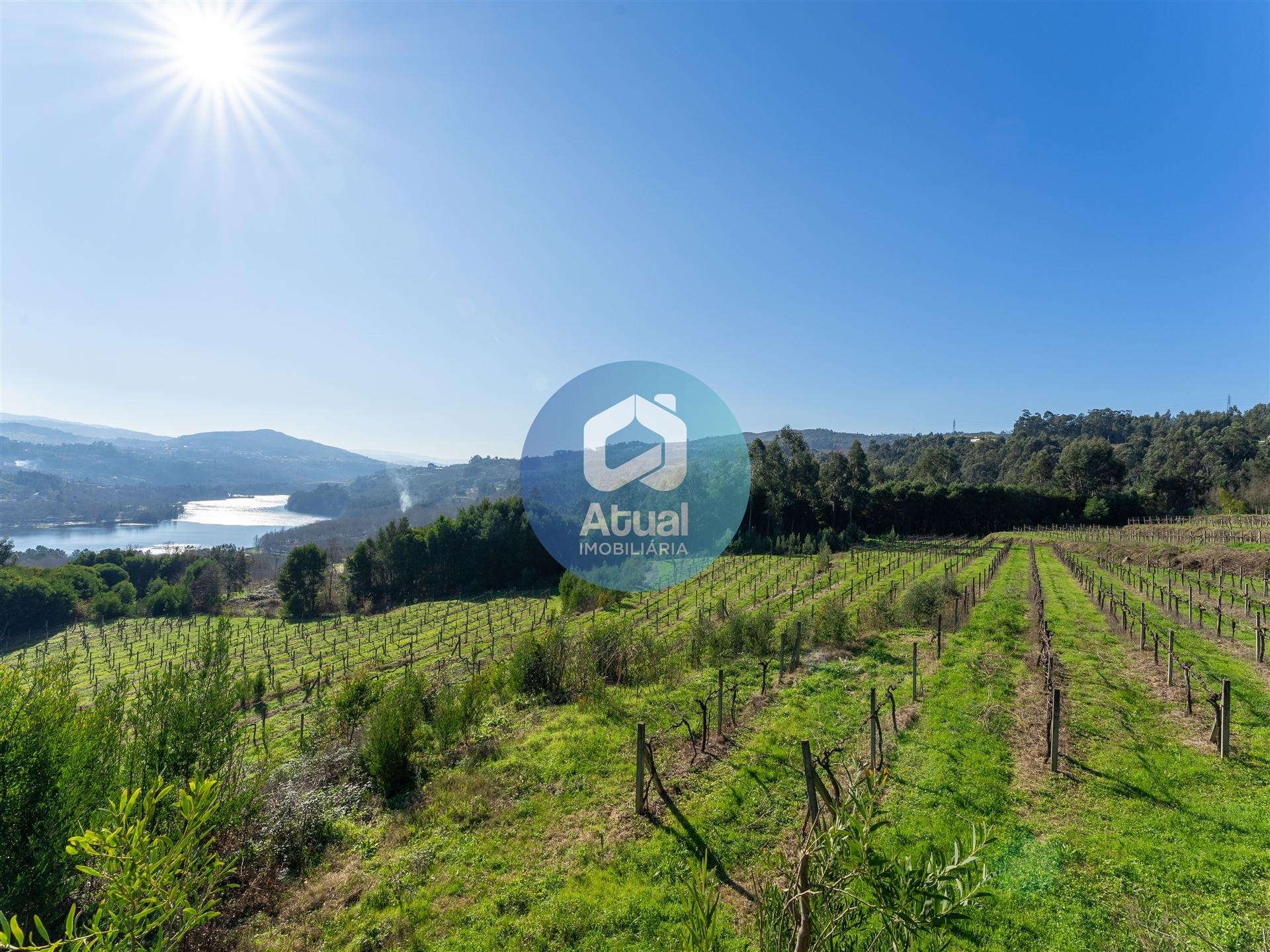 Quinta  Venda em Abragão,Penafiel