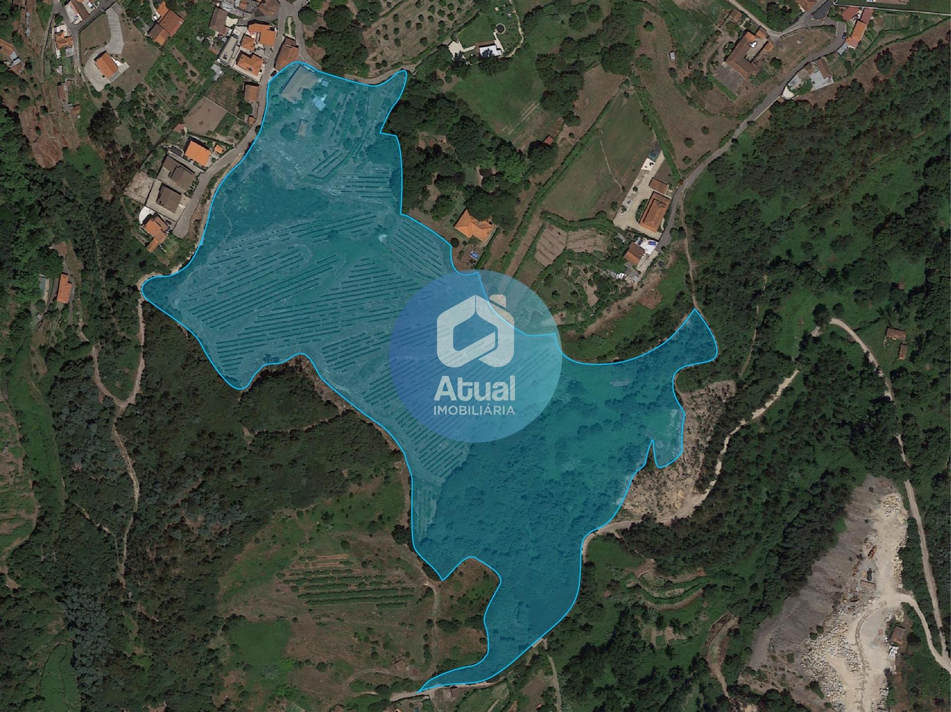 Quinta  Venda em Abragão,Penafiel