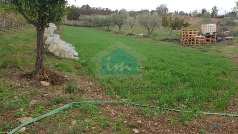 Terreno para venda em Mirandela