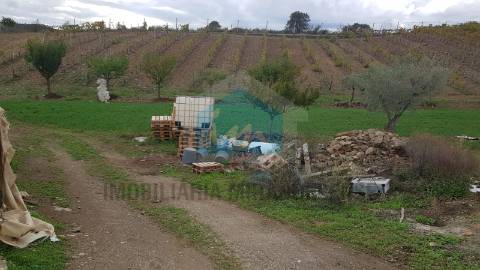 Terreno para venda em Mirandela