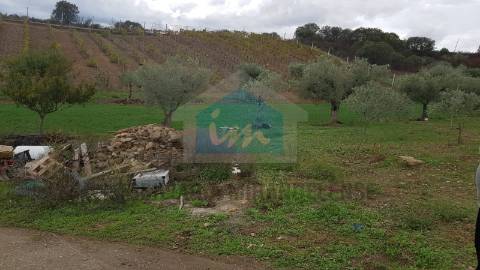 Terreno para venda em Mirandela