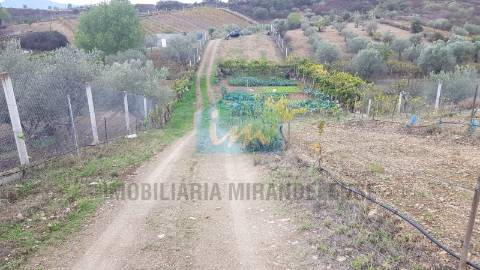 Terreno para venda em Mirandela